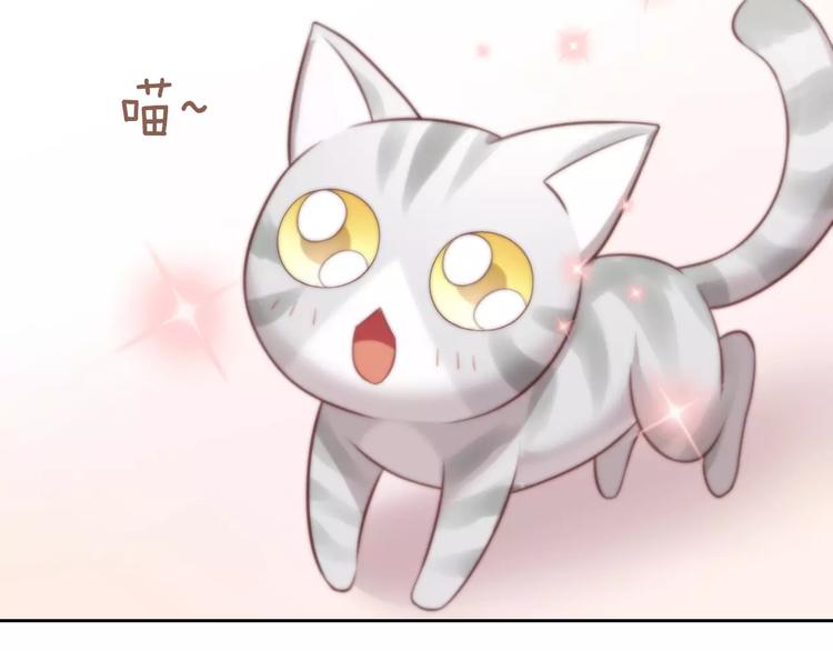 猫爪之下韩漫全集-第31话 再见啦疾风无删减无遮挡章节图片 