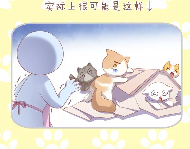 猫爪之下韩漫全集-第32话 暖暖的家无删减无遮挡章节图片 
