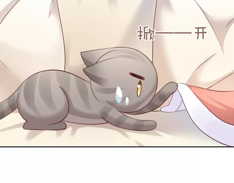 猫爪之下韩漫全集-第32话 暖暖的家无删减无遮挡章节图片 