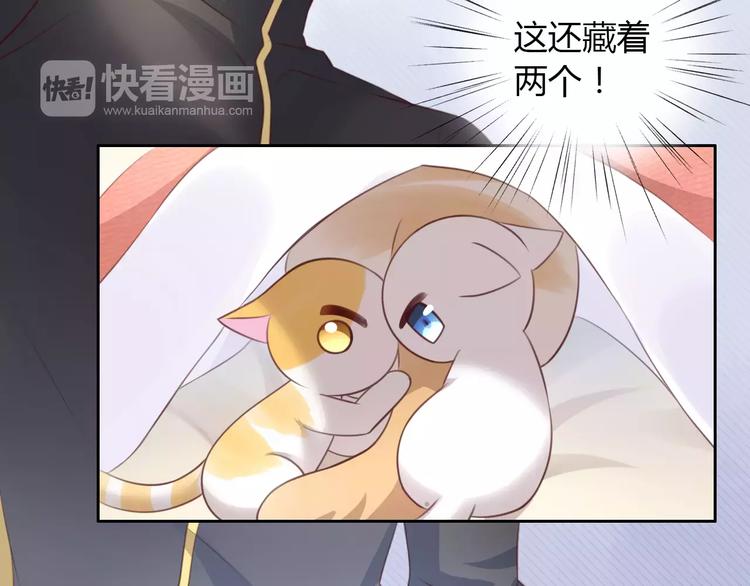 猫爪之下韩漫全集-第32话 暖暖的家无删减无遮挡章节图片 