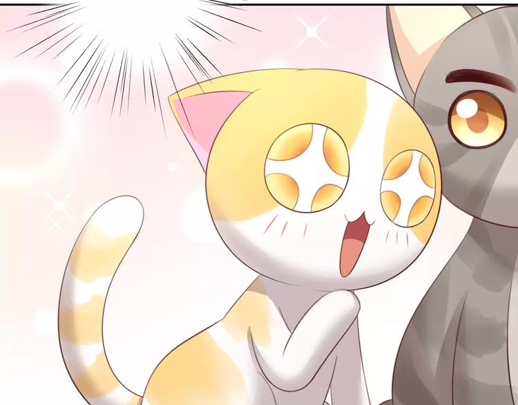 猫爪之下韩漫全集-第32话 暖暖的家无删减无遮挡章节图片 