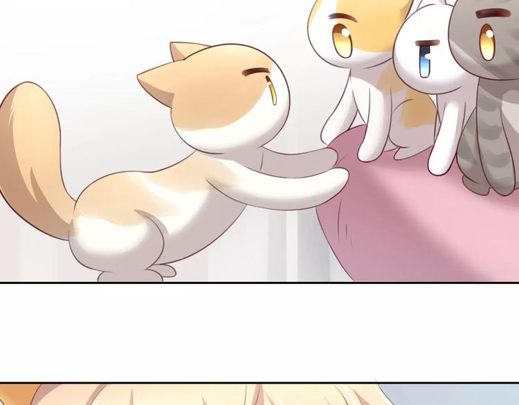 猫爪之下韩漫全集-第32话 暖暖的家无删减无遮挡章节图片 