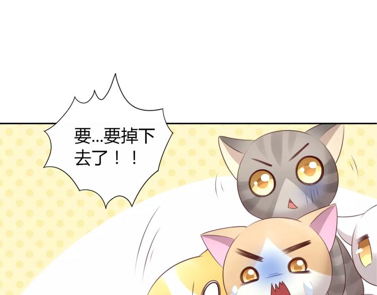 猫爪之下韩漫全集-第32话 暖暖的家无删减无遮挡章节图片 