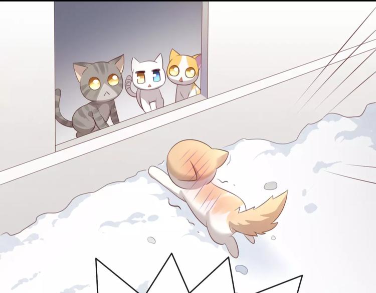 猫爪之下韩漫全集-第33话 下雪啦无删减无遮挡章节图片 
