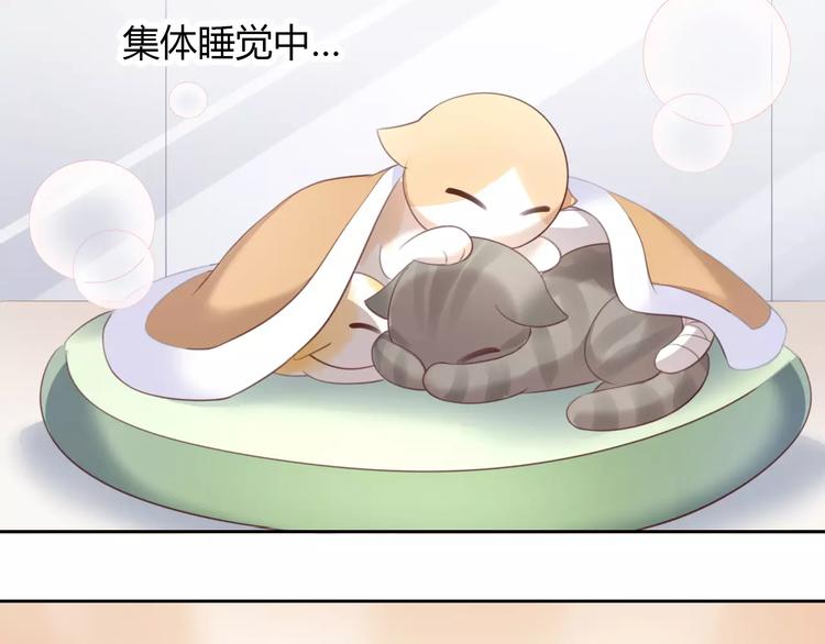 猫爪之下韩漫全集-第33话 下雪啦无删减无遮挡章节图片 