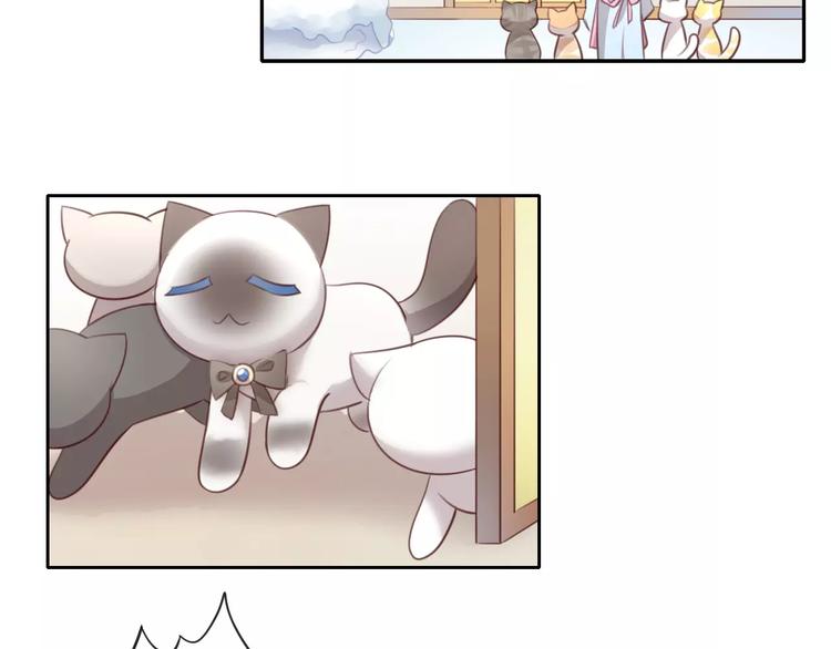 猫爪之下韩漫全集-第34话 猫执事（上）无删减无遮挡章节图片 