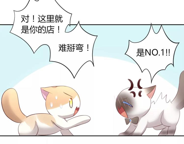猫爪之下韩漫全集-第34话 猫执事（上）无删减无遮挡章节图片 
