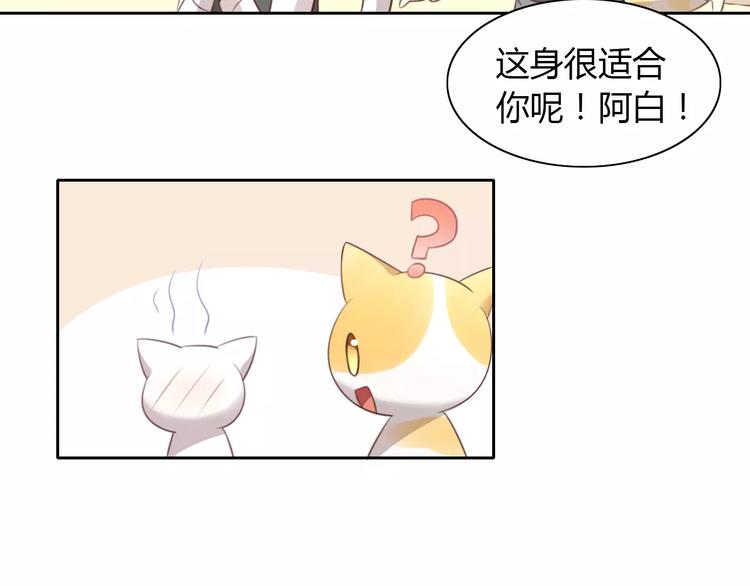 猫爪之下韩漫全集-第34话 猫执事（上）无删减无遮挡章节图片 