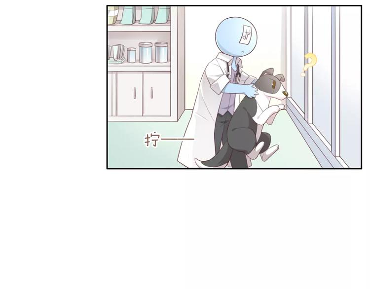 猫爪之下韩漫全集-第36话  为什么不爱我！无删减无遮挡章节图片 