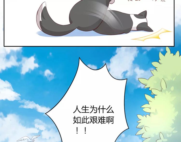 猫爪之下韩漫全集-第36话  为什么不爱我！无删减无遮挡章节图片 