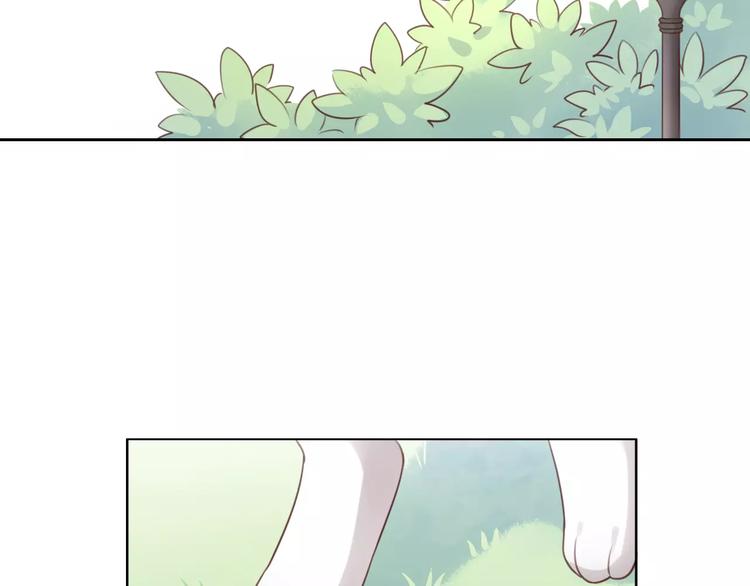 猫爪之下韩漫全集-第36话  为什么不爱我！无删减无遮挡章节图片 