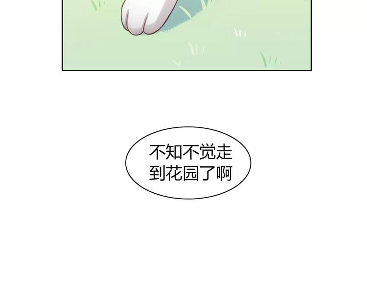 猫爪之下韩漫全集-第36话  为什么不爱我！无删减无遮挡章节图片 