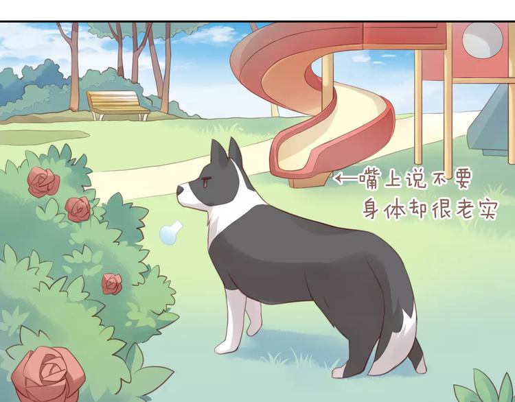 猫爪之下韩漫全集-第36话  为什么不爱我！无删减无遮挡章节图片 