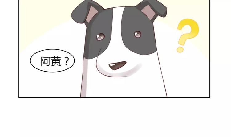 猫爪之下韩漫全集-第36话  为什么不爱我！无删减无遮挡章节图片 