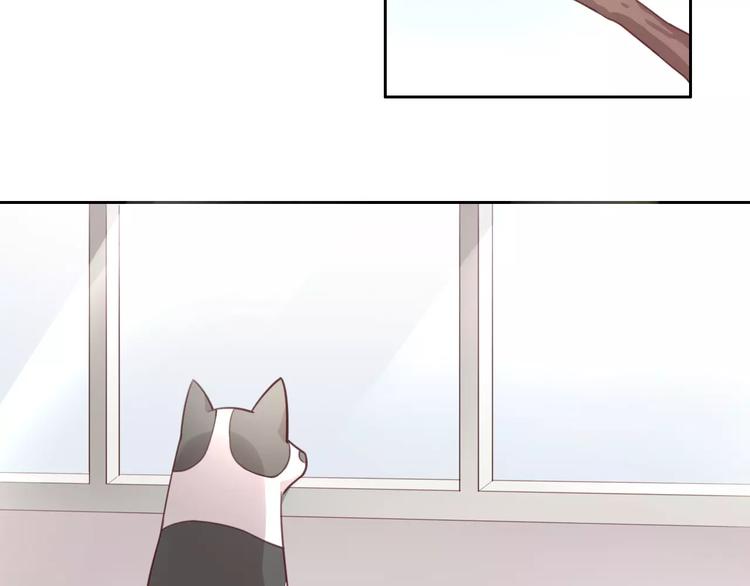 猫爪之下韩漫全集-第36话  为什么不爱我！无删减无遮挡章节图片 