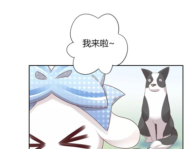 猫爪之下韩漫全集-第36话  为什么不爱我！无删减无遮挡章节图片 