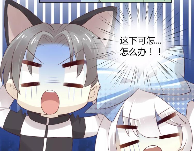 猫爪之下韩漫全集-第36话  为什么不爱我！无删减无遮挡章节图片 