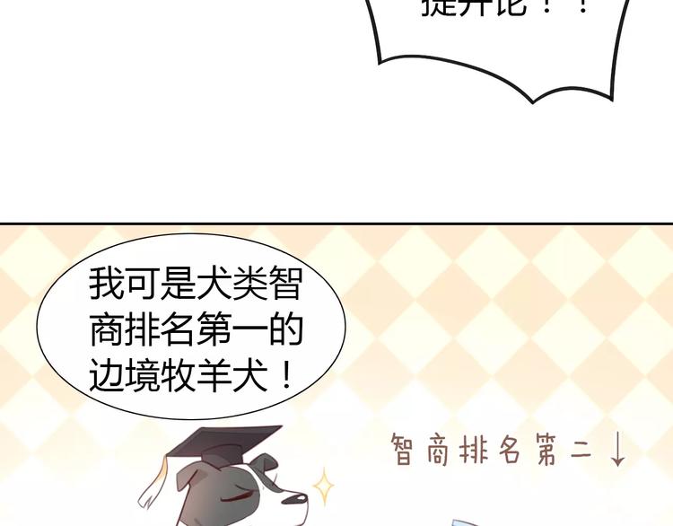 猫爪之下韩漫全集-第37话 清醒点！无删减无遮挡章节图片 
