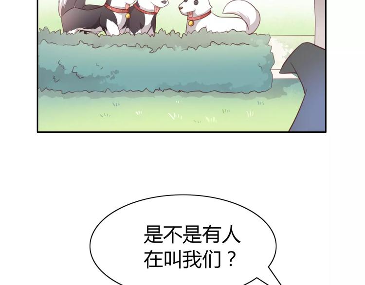 猫爪之下韩漫全集-第37话 清醒点！无删减无遮挡章节图片 