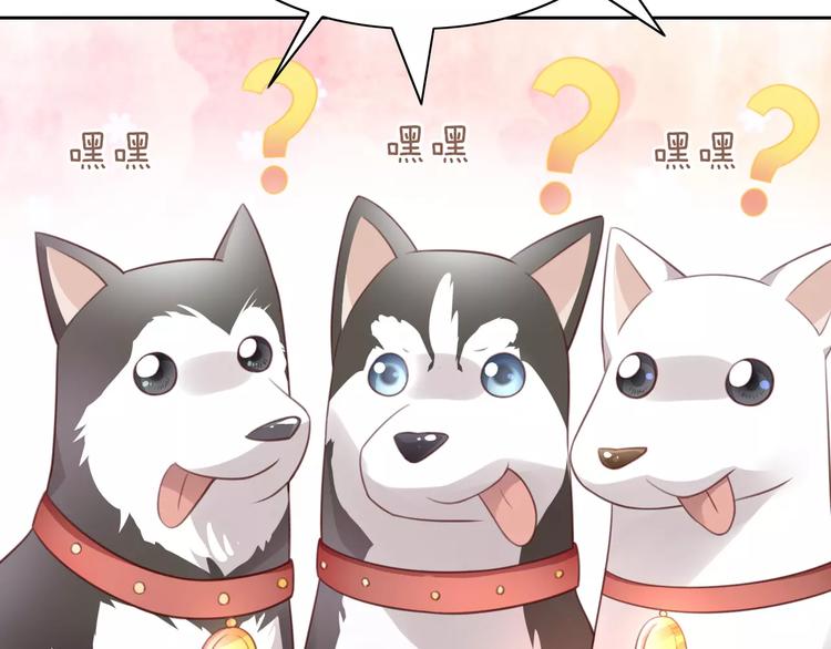 猫爪之下韩漫全集-第37话 清醒点！无删减无遮挡章节图片 