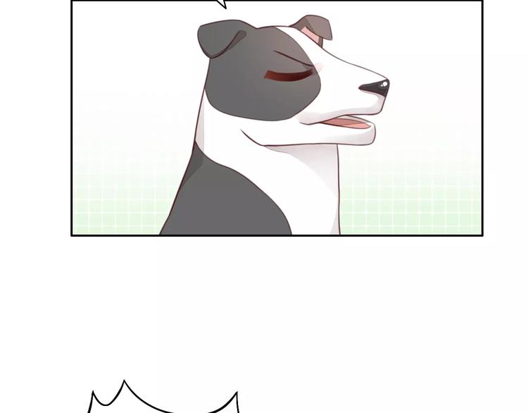 猫爪之下韩漫全集-第37话 清醒点！无删减无遮挡章节图片 
