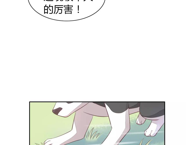 猫爪之下韩漫全集-第37话 清醒点！无删减无遮挡章节图片 