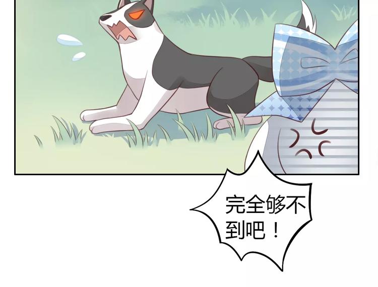 猫爪之下韩漫全集-第37话 清醒点！无删减无遮挡章节图片 