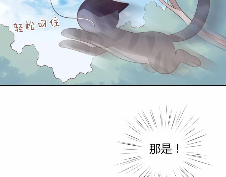 猫爪之下韩漫全集-第37话 清醒点！无删减无遮挡章节图片 