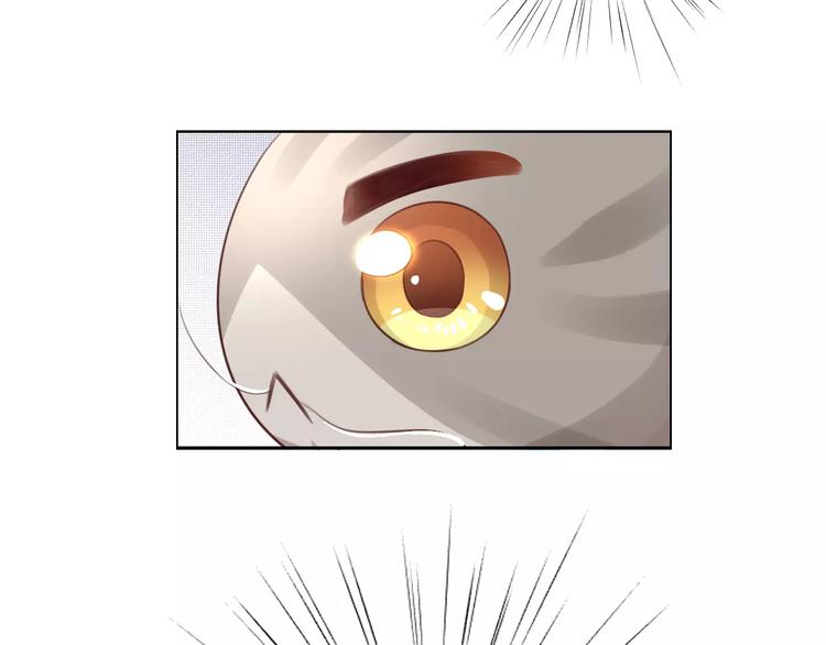猫爪之下韩漫全集-第37话 清醒点！无删减无遮挡章节图片 