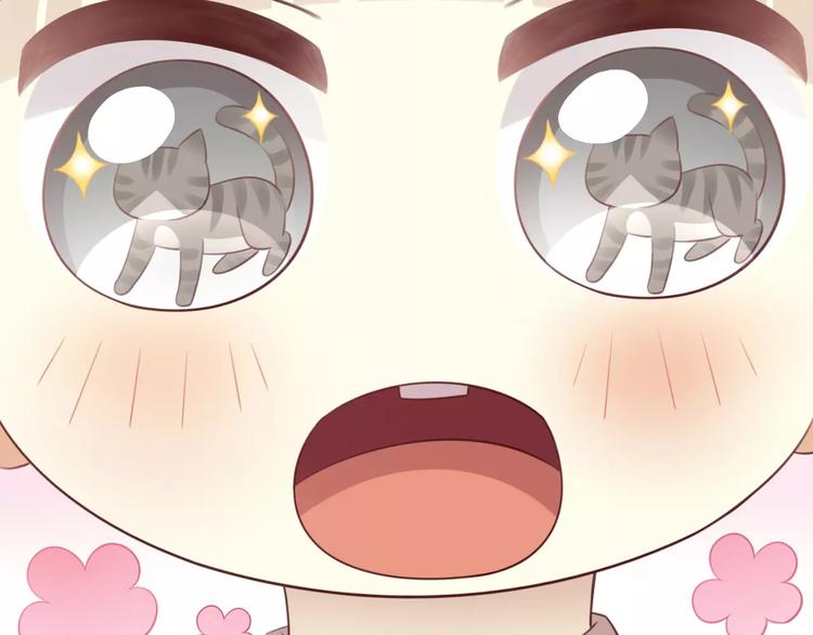 猫爪之下韩漫全集-第37话 清醒点！无删减无遮挡章节图片 