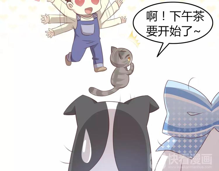 猫爪之下韩漫全集-第37话 清醒点！无删减无遮挡章节图片 