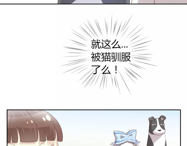 猫爪之下韩漫全集-第37话 清醒点！无删减无遮挡章节图片 