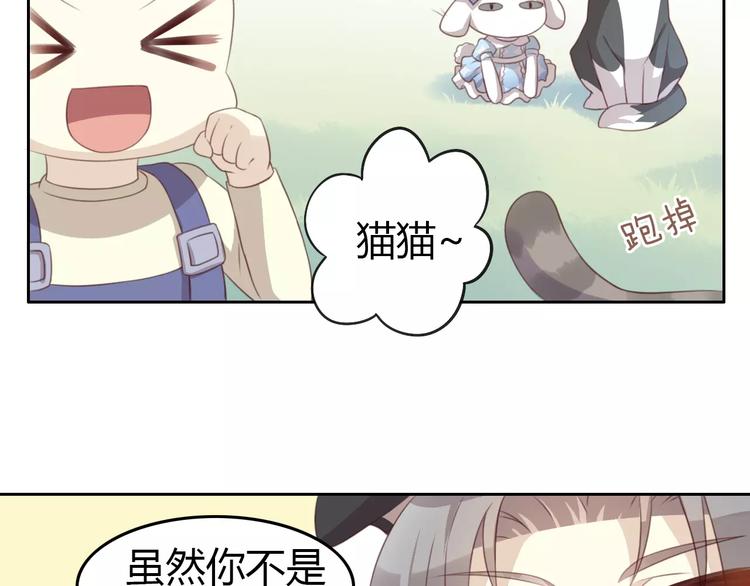 猫爪之下韩漫全集-第37话 清醒点！无删减无遮挡章节图片 