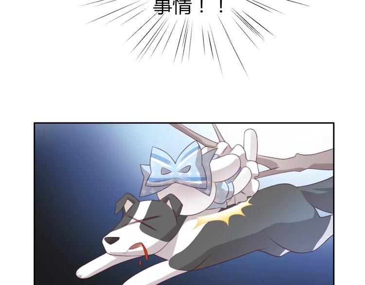 猫爪之下韩漫全集-第37话 清醒点！无删减无遮挡章节图片 