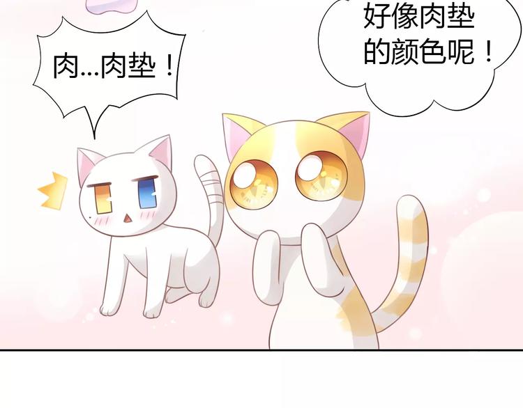 猫爪之下韩漫全集-第38话 樱花果冻无删减无遮挡章节图片 