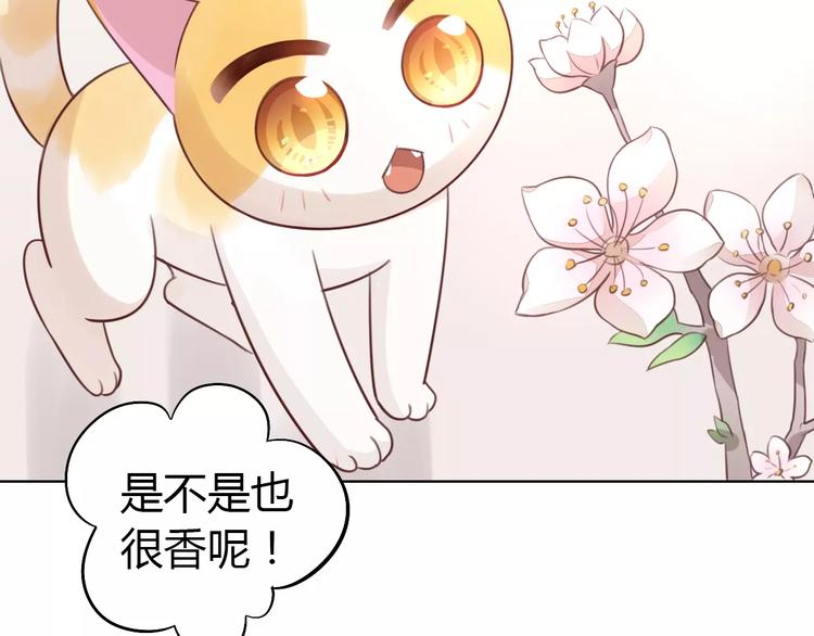 猫爪之下韩漫全集-第38话 樱花果冻无删减无遮挡章节图片 