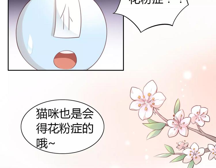 猫爪之下韩漫全集-第38话 樱花果冻无删减无遮挡章节图片 