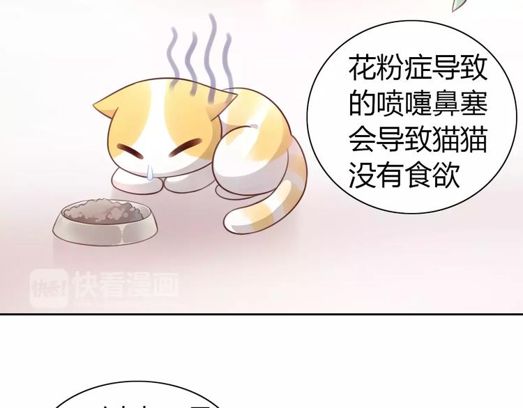 猫爪之下韩漫全集-第38话 樱花果冻无删减无遮挡章节图片 