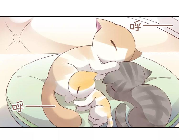 猫爪之下韩漫全集-第38话 樱花果冻无删减无遮挡章节图片 