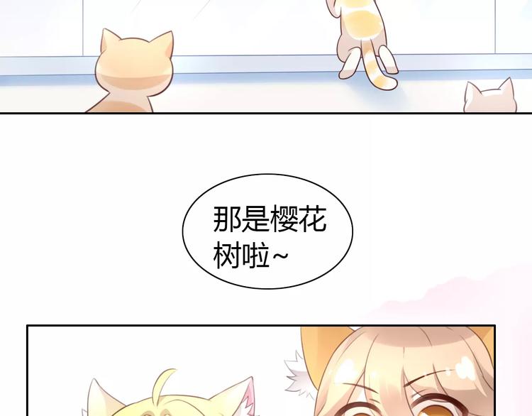 猫爪之下韩漫全集-第38话 樱花果冻无删减无遮挡章节图片 