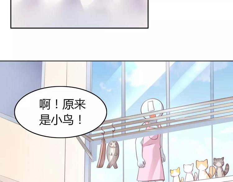 猫爪之下韩漫全集-第39话 鸟妈妈的苦心无删减无遮挡章节图片 