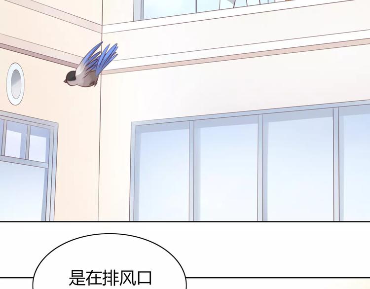 猫爪之下韩漫全集-第39话 鸟妈妈的苦心无删减无遮挡章节图片 