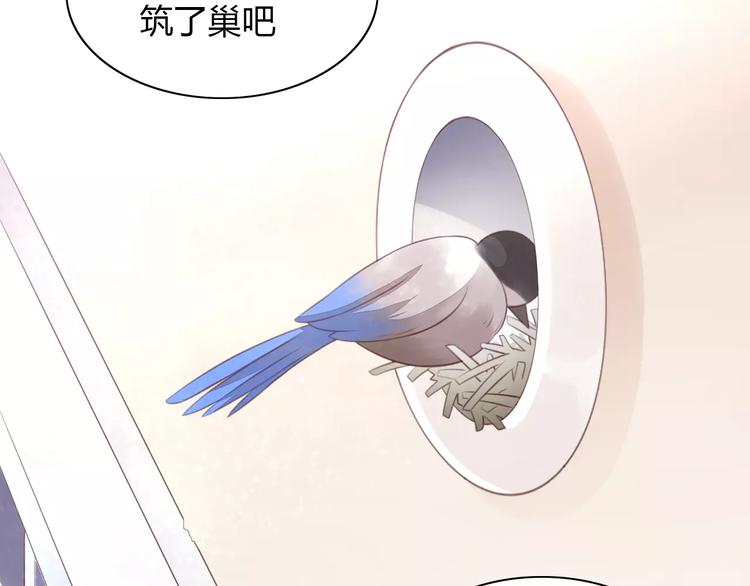 猫爪之下韩漫全集-第39话 鸟妈妈的苦心无删减无遮挡章节图片 