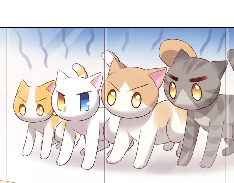 猫爪之下韩漫全集-第39话 鸟妈妈的苦心无删减无遮挡章节图片 
