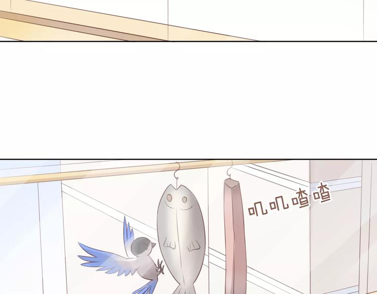 猫爪之下韩漫全集-第39话 鸟妈妈的苦心无删减无遮挡章节图片 
