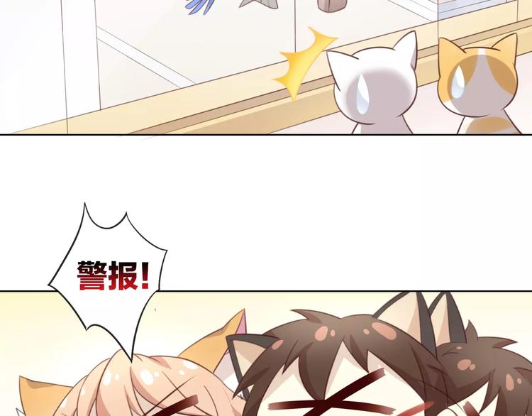 猫爪之下韩漫全集-第39话 鸟妈妈的苦心无删减无遮挡章节图片 