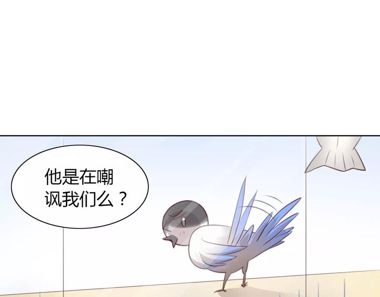 猫爪之下韩漫全集-第39话 鸟妈妈的苦心无删减无遮挡章节图片 