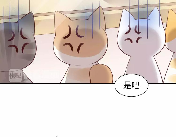 猫爪之下韩漫全集-第39话 鸟妈妈的苦心无删减无遮挡章节图片 