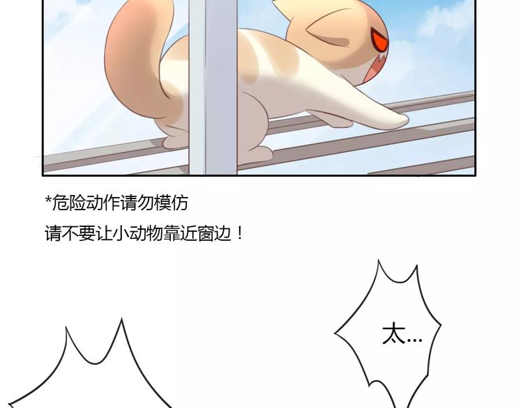 猫爪之下韩漫全集-第39话 鸟妈妈的苦心无删减无遮挡章节图片 