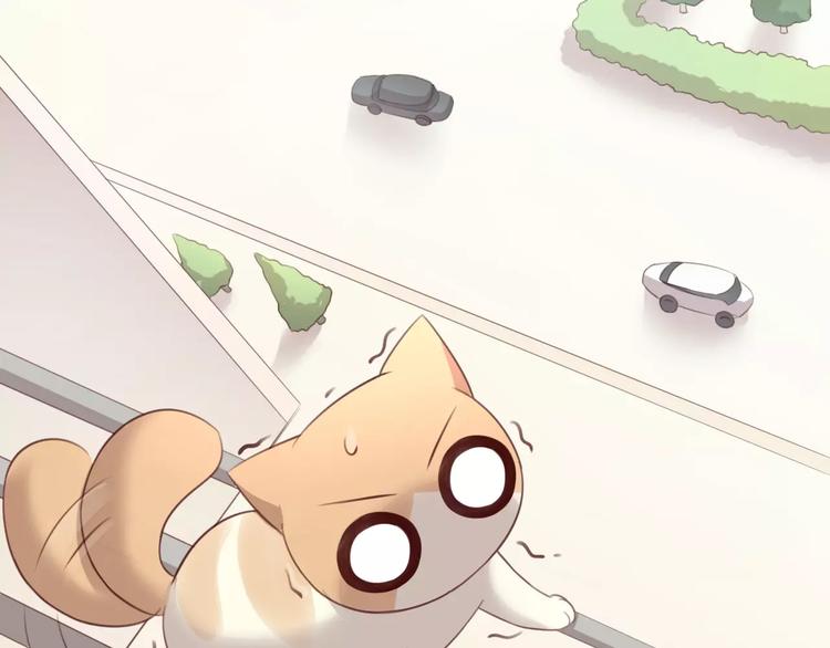猫爪之下韩漫全集-第39话 鸟妈妈的苦心无删减无遮挡章节图片 